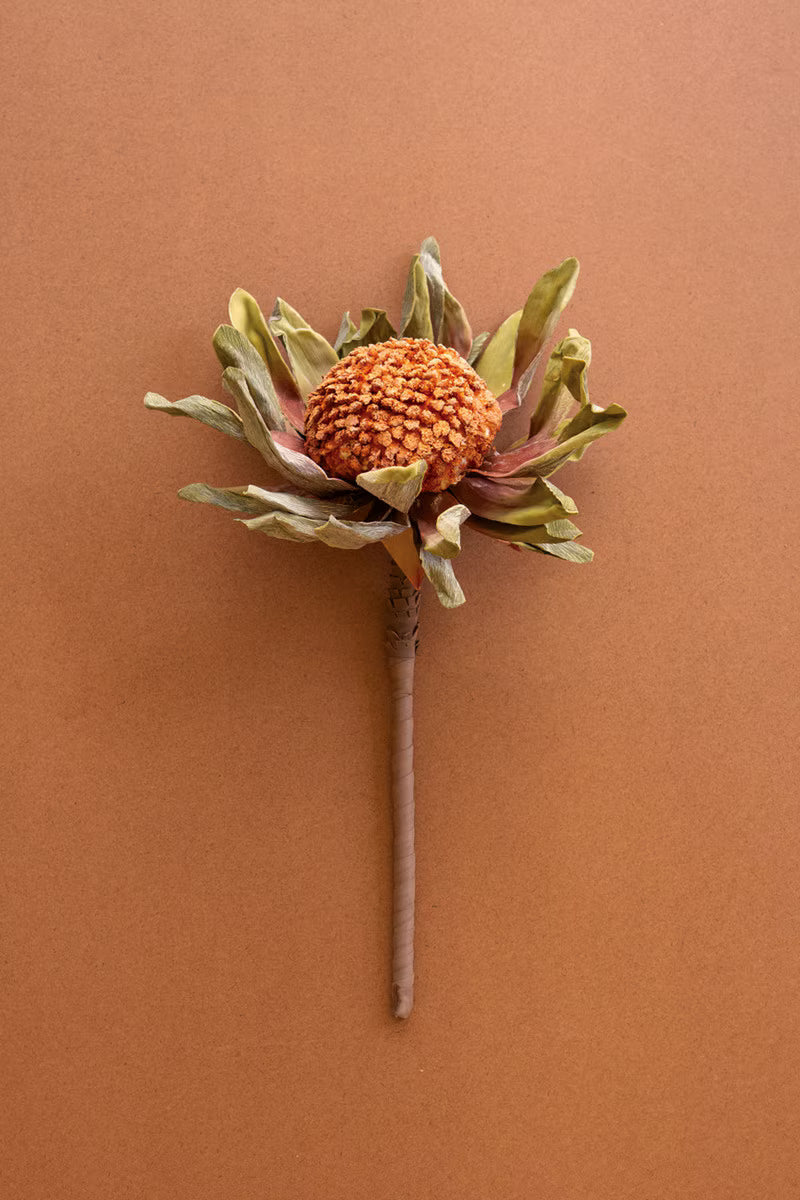 Botanica #2885