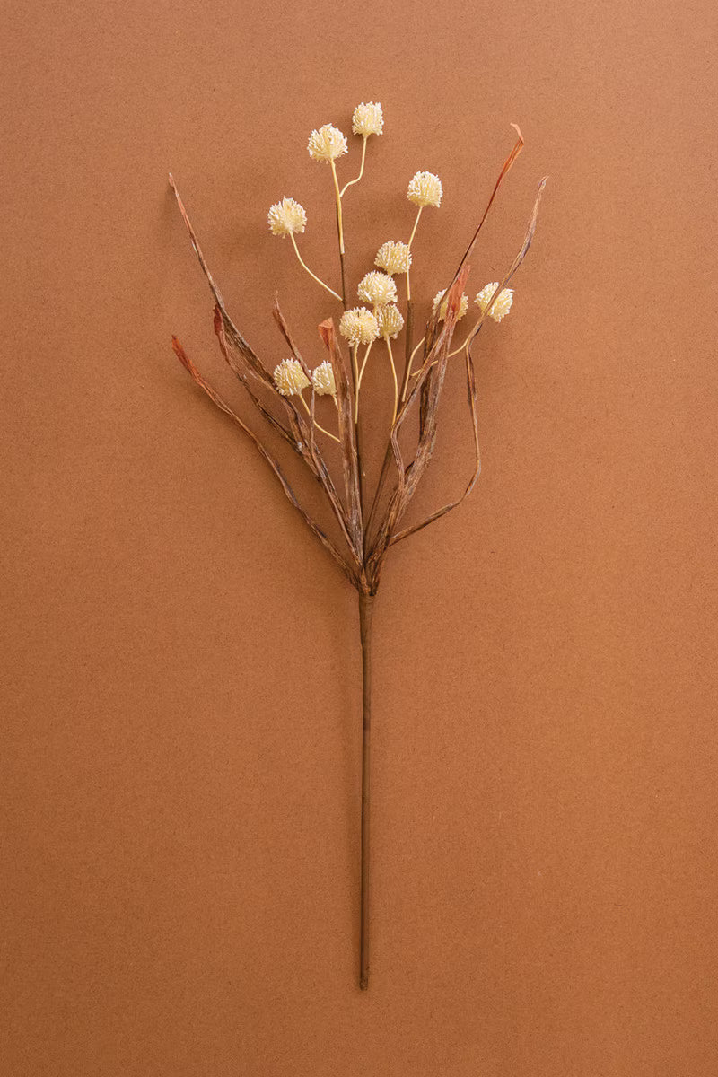 Botanica #2892