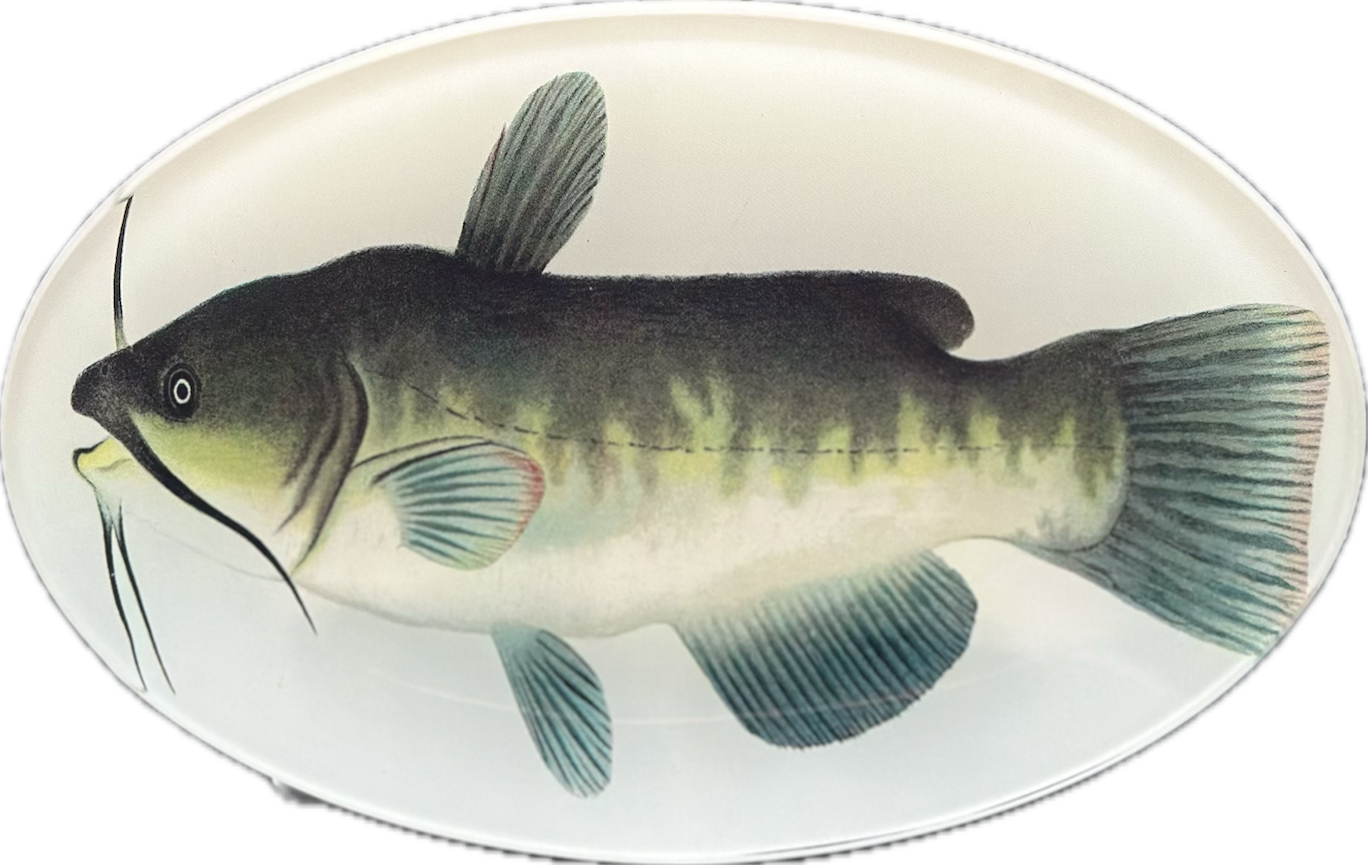 Catfish Plate