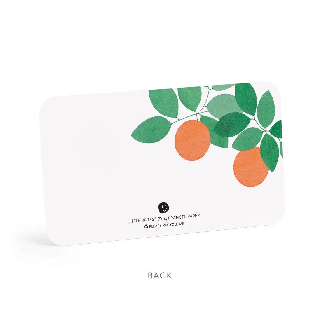 Orange Grove Little Notes